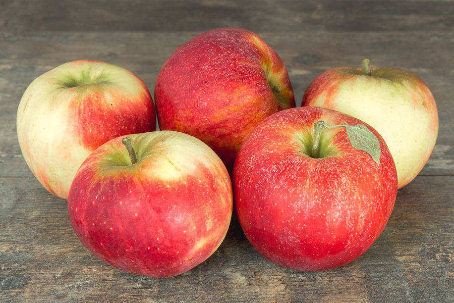 Pommier "Florina"